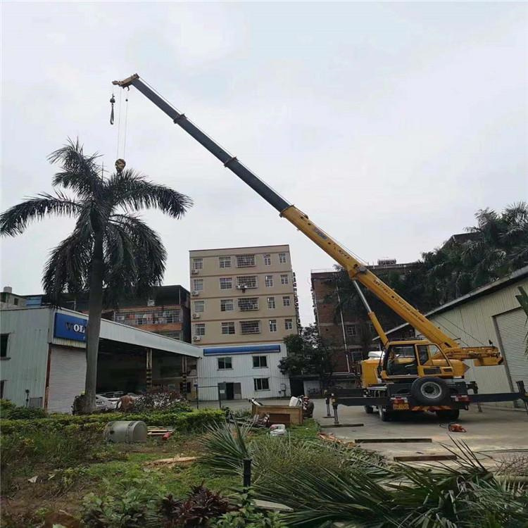 罗田汽车吊出租多少钱？全面解析与市场行情