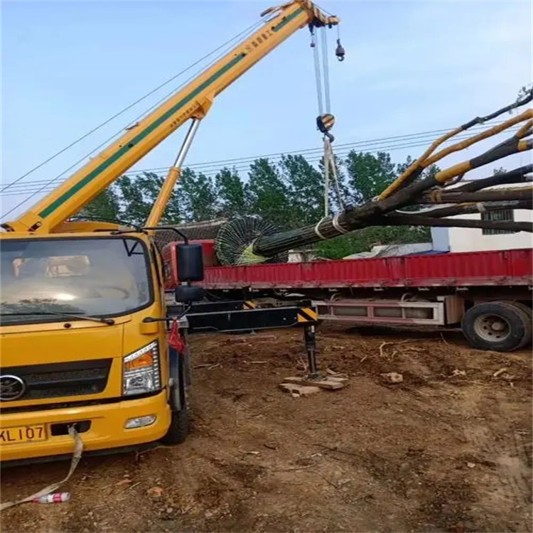 罗田100吨吊车租赁费用怎么算？3大关键因素+省钱技巧全解析